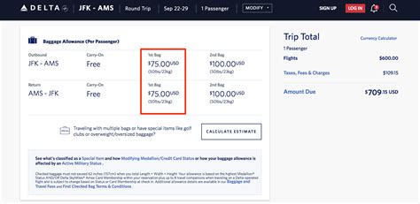 checked baggage cost delta|delta lost baggage.